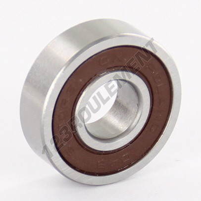 6000-2RS