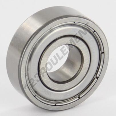 6000-ZZ-SKF