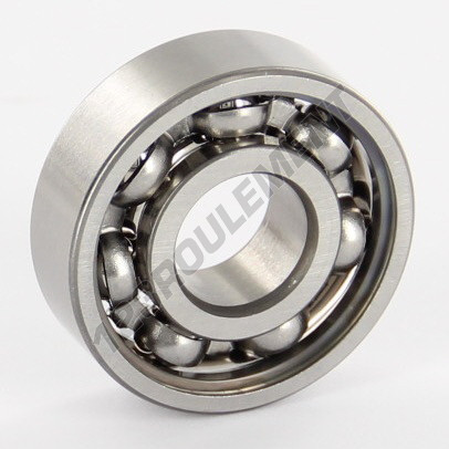 6000-SKF