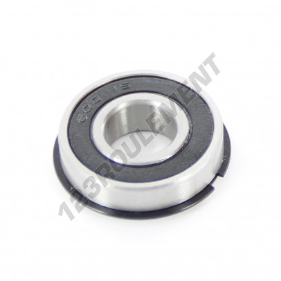6001-2RS-NR-ZEN