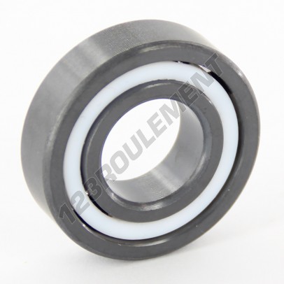 6002-CE-SI3N4-PTFE-ZEN