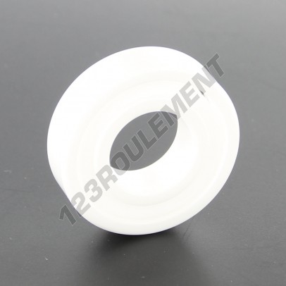 6002-CE-ZRO2-PTFE-ZEN