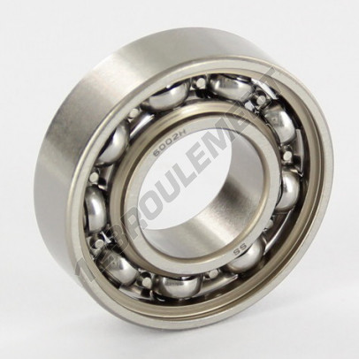 6002-INOX-EZO