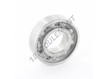 6002-INOX