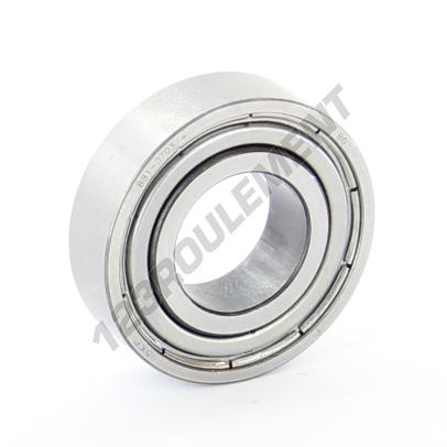 6003-ZZ-SKF