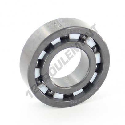 6003-CE-SI3N4-PTFE-ZEN