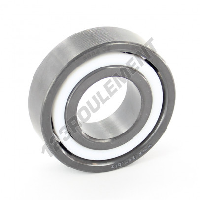 6004-CE-SI3N4-PTFE-ZEN
