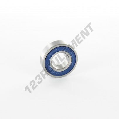 6004-LLB-C3-ENDURO