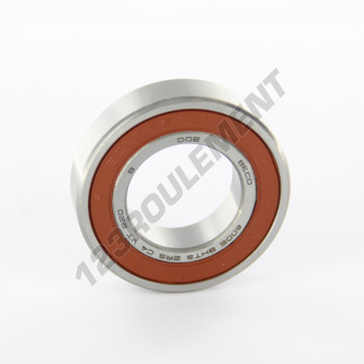 6005-2RS-BHTS-C4-VT220