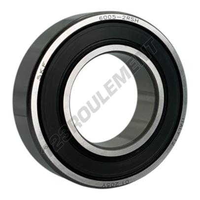 6005-2RS-SKF