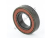 6005-BHTS-2RS-VT-250