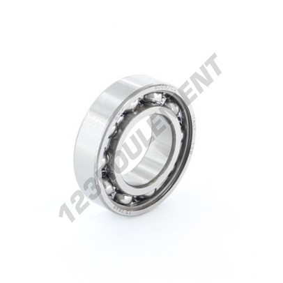 6005-C2-SKF
