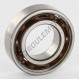 Roulement à billes - 6005-TN9-C3-SKF