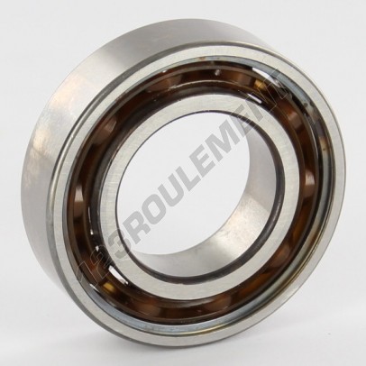 6005-TN9-C3-SKF