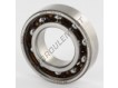 6005-TN9-C3-SKF