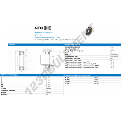 6005-Z-SNR