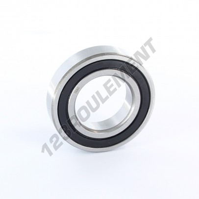 6006-2RS-ZEN