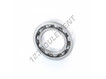 6006-31-SKF