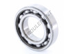 6006-RS1-SKF