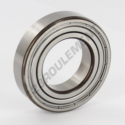 6006-ZZ-C4-SKF