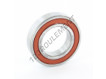 6007-2RS-C3-VT180