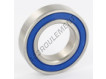 6007-2RS-INOX