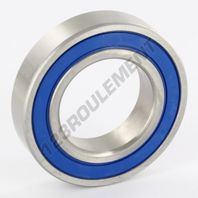 6007-2RS-INOX