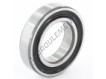 6007-2RS1-C3-GJN-SKF