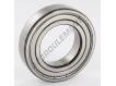 6007-2Z-SKF