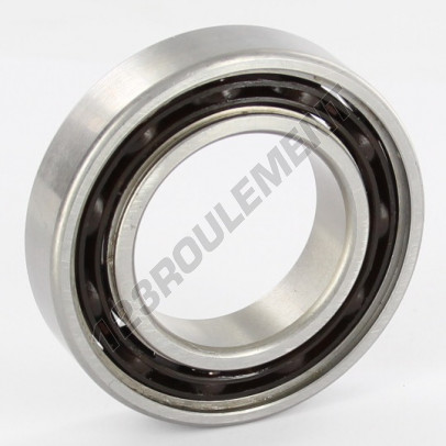 6007-INOX-HYBRID