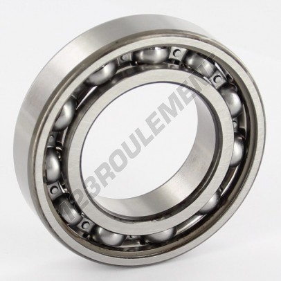 6007-SKF