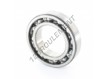 6008CS11V44-NTN