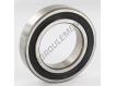 6009-2RS1-SKF