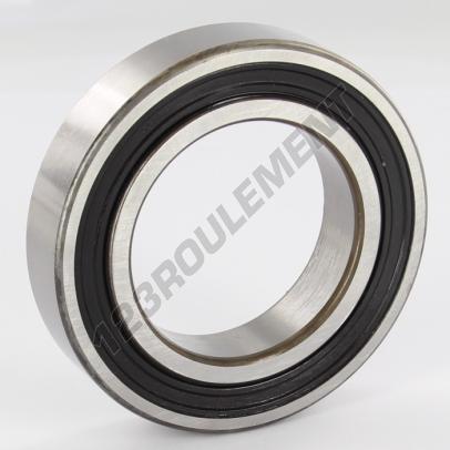 6009-2RS-SKF