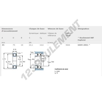 6009-2RS1-SKF
