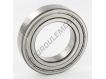 6009-2Z-SKF