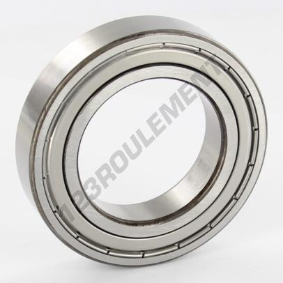 6009-2Z-SKF