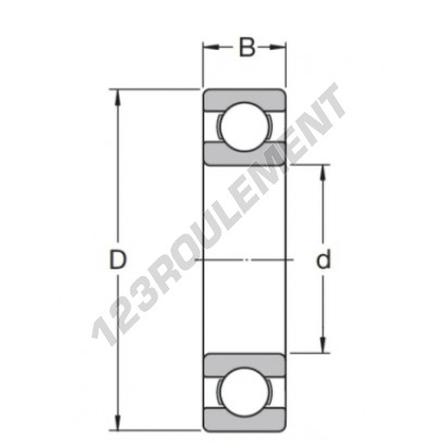 6009-C2-SKF