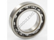 6009-C3-SKF