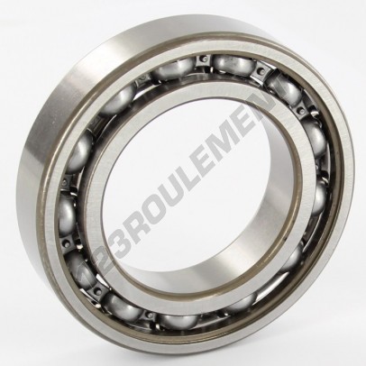 6009-C3-SKF