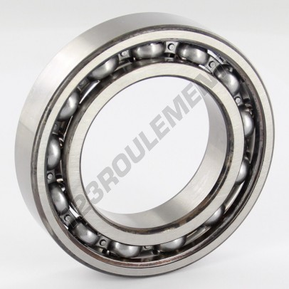 6009-SKF