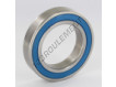 6010-2RS-INOX
