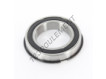 6010-2RS-NR-ZEN