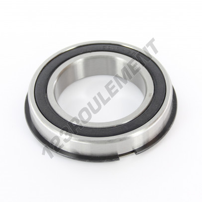6010-2RS-NR-ZEN