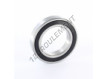 6010-2RS-ZEN