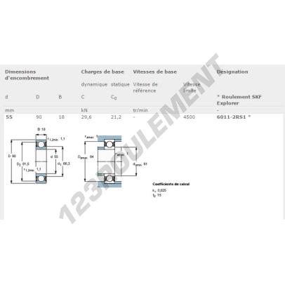 6011-2RS1-SKF