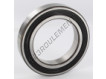 6013-2RS-SKF