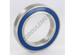 6015-2RS-INOX