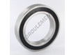 6017-2RS-INOX