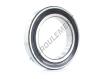 6019-2RS1-SKF